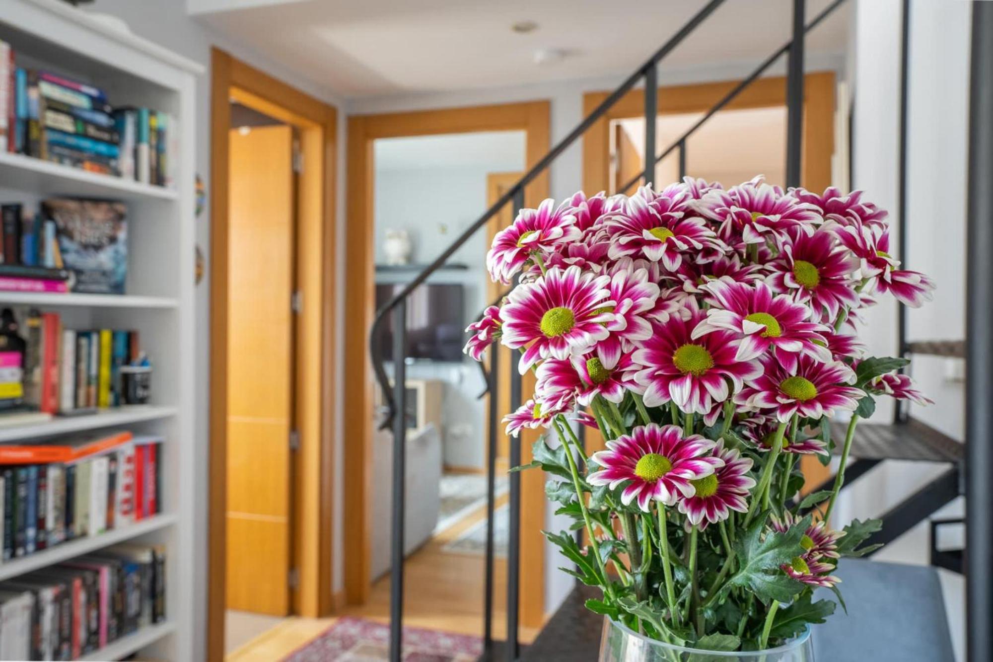 Del Parque Flats San Ignacio Penthouse